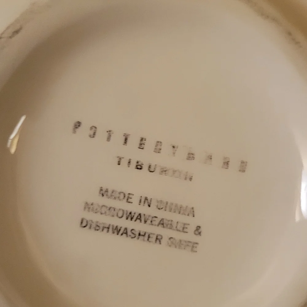 Pottery Barn Tiburon bowl
